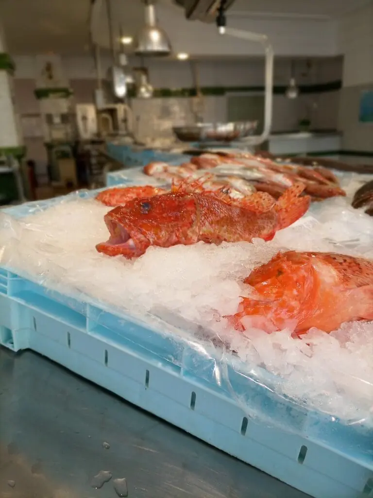 Fruits de mer présentés sur glace chez Pescados Cabo de Palos I