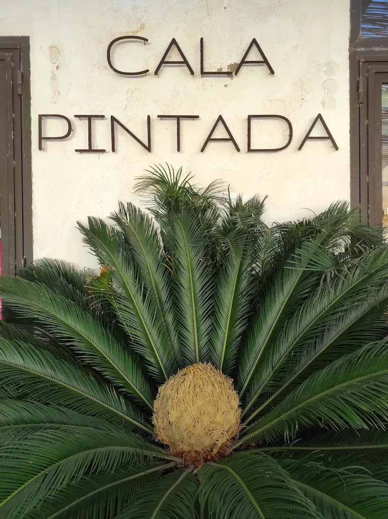 Cala Pintada sign on the workshop-shop frontage, Cabo de Palos