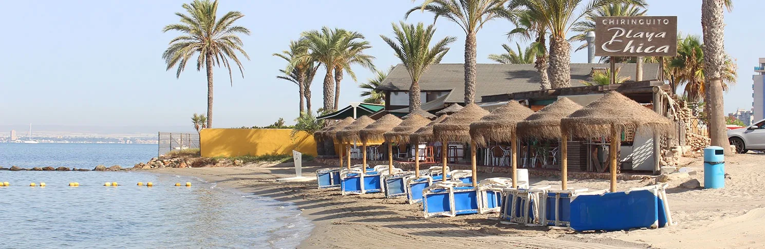 Tall palms, straw parasols and blue sunloungers on the sand at Playa Chica, in La Manga