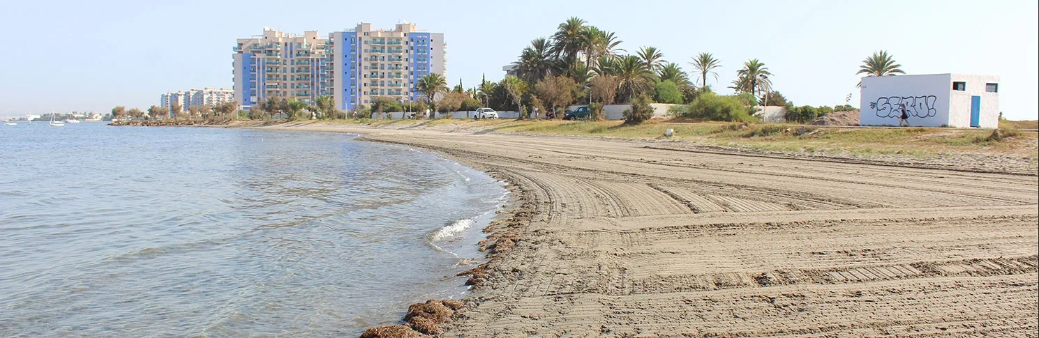 Curved shoreline at Playa Chica, with the tall buildings of La Manga in the background