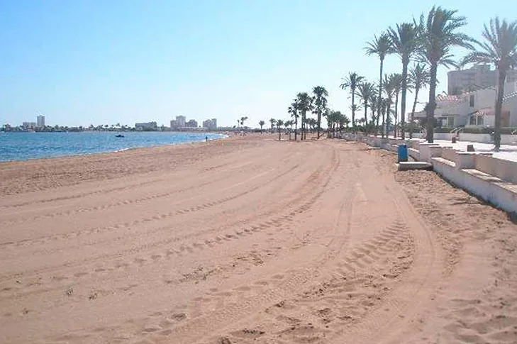 Row of palms beside the Playa Honda promenade, with sand in the foreground