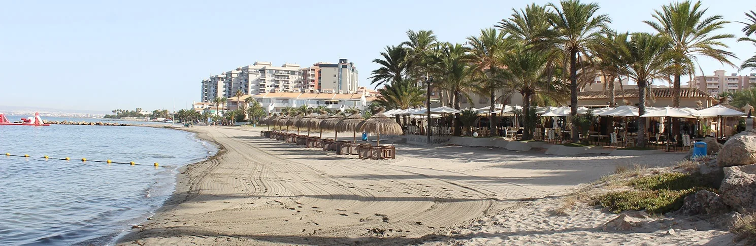 Geschwungenes Ufer von Playa La Veneziola mit Palmen und den Gebäuden am Ende von La Manga