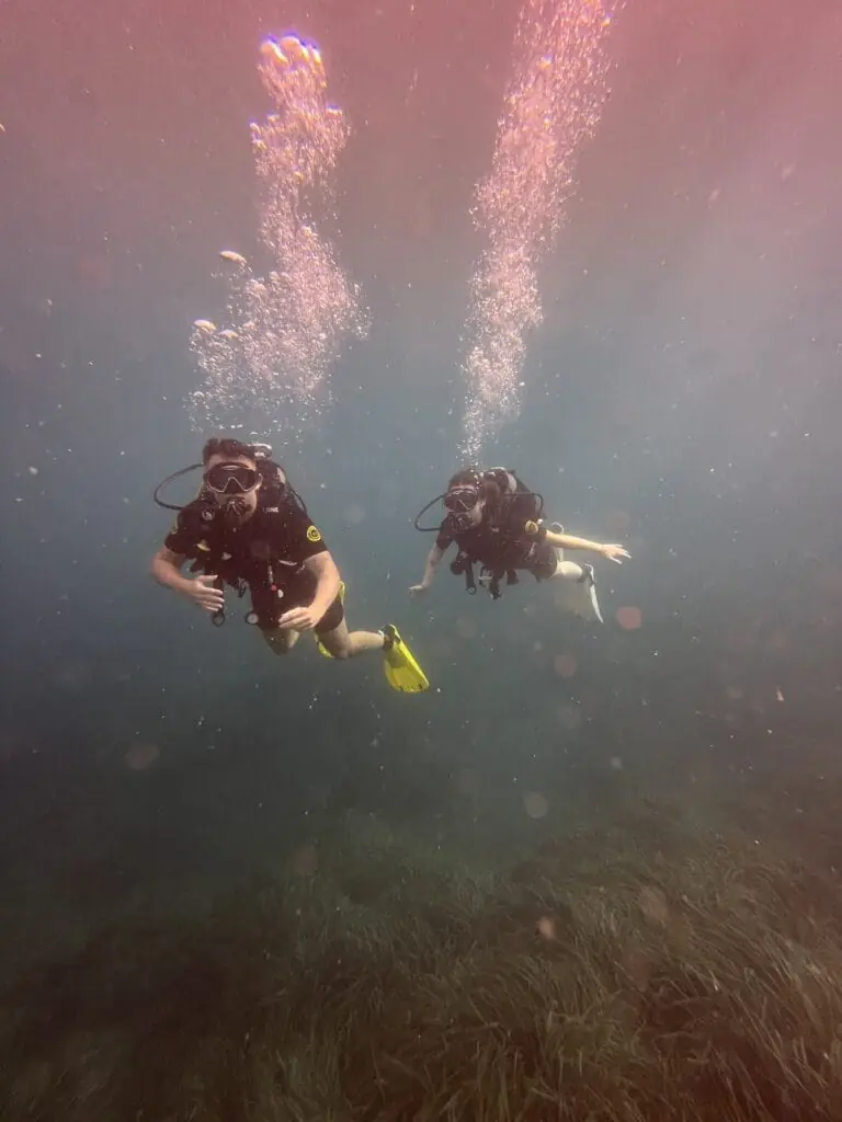 Geführter Tauchgang von Albadive im Meeresschutzgebiet von Cabo de Palos