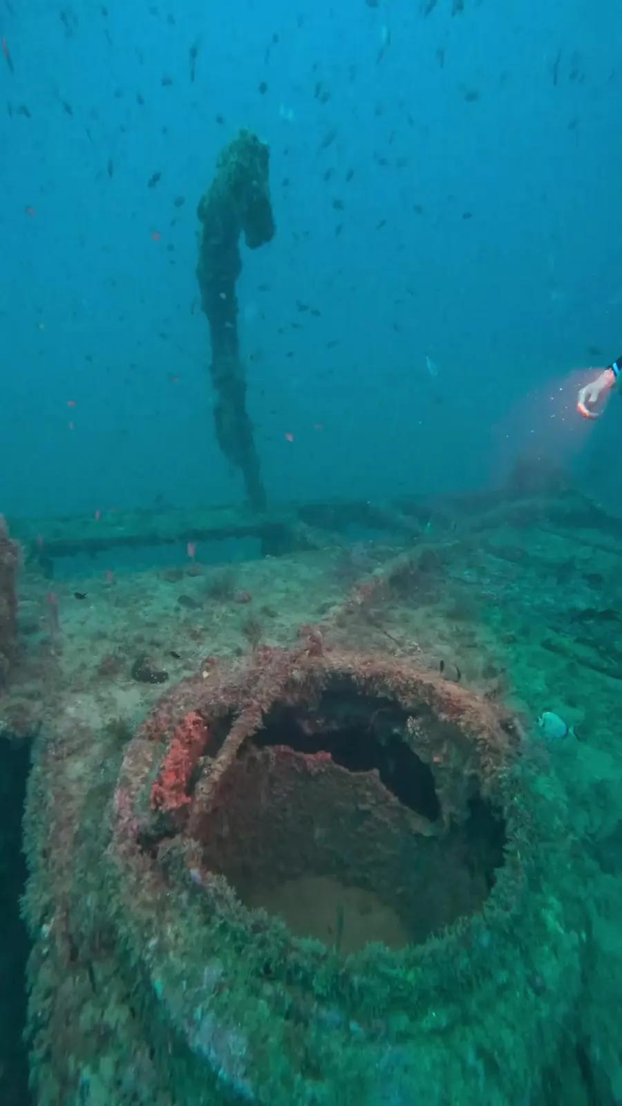 Tauchausrüstung von Albadive, bereit für einen Ausflug