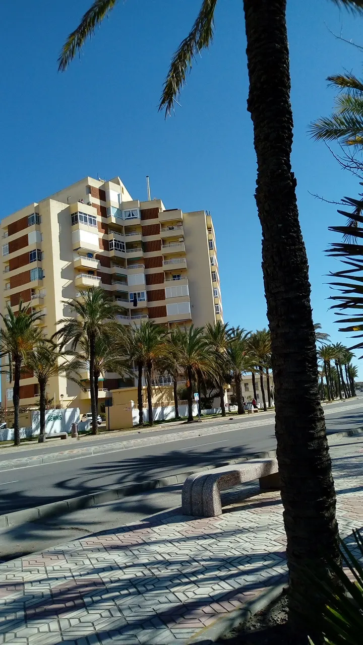 Fassade des Gebäudes Géminis in Cabo de Palos, zwischen Palmen