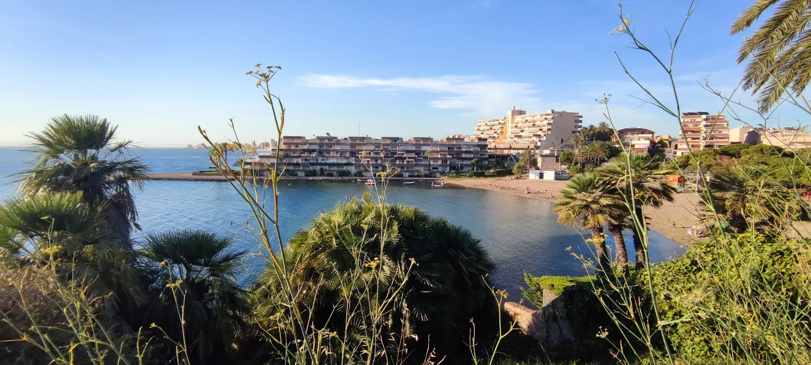 Vistas al Mar Menor entre palmeras desde Apartamentos Altair