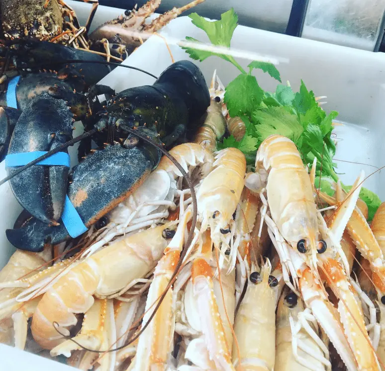 Assiette de fruits de mer à Bonobo Playa, La Manga