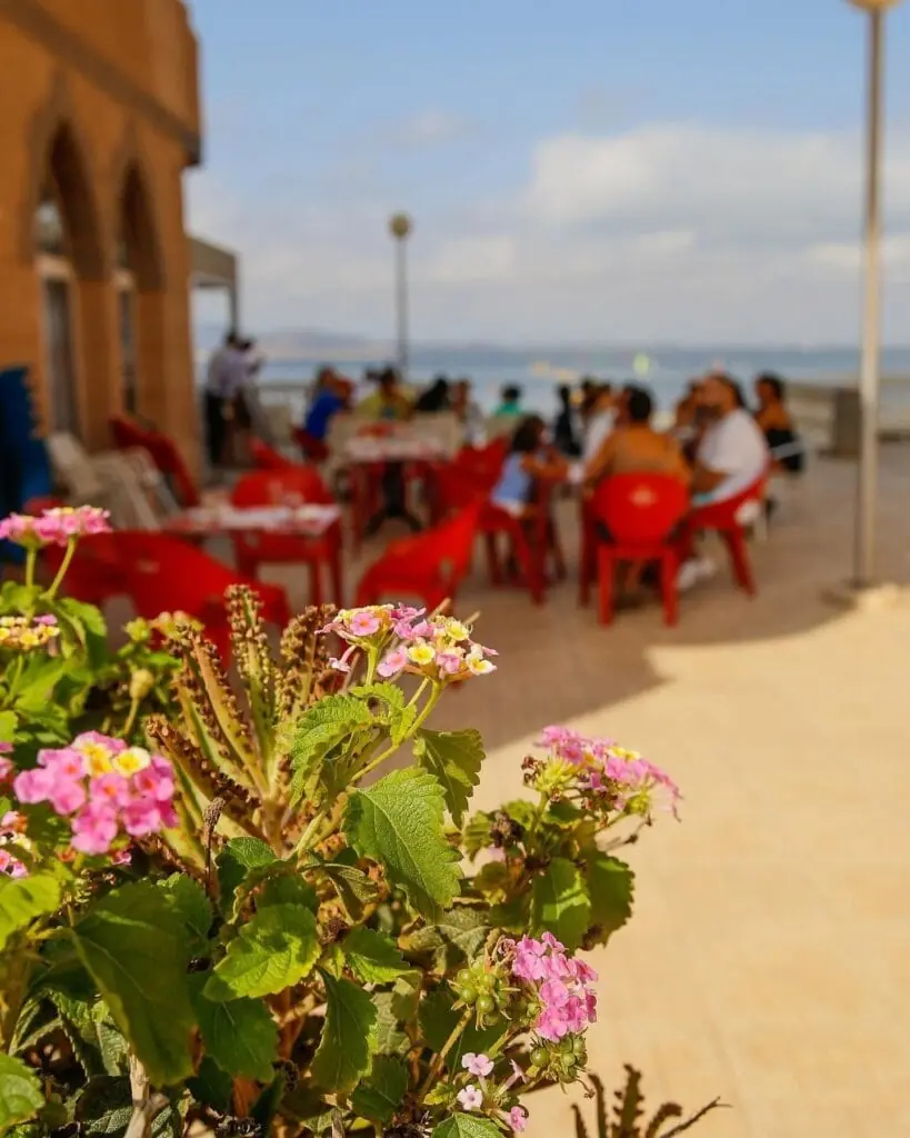Café Royal terrace with flowers in the foreground and sea views