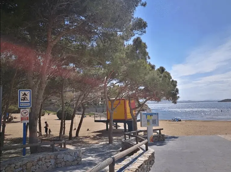 Access to Cala del Pino between pine trees, with the lifeguard tower