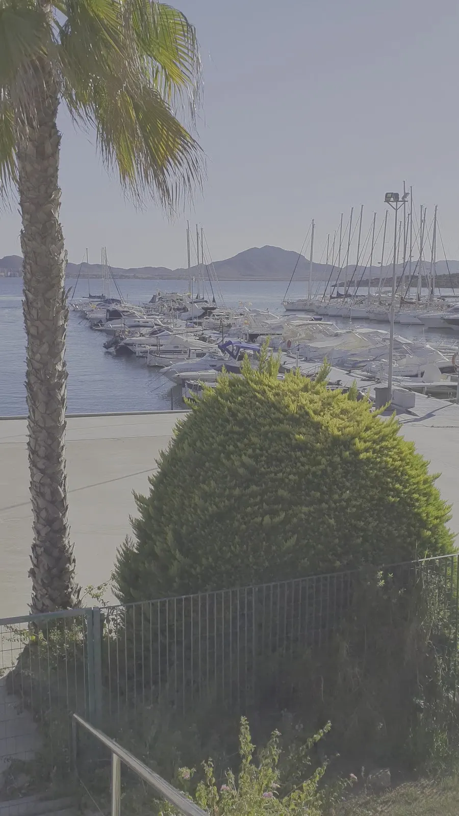 Blick auf die Liegeplätze des Jachthafens aus dem Garten des Club Náutico Dos Mares