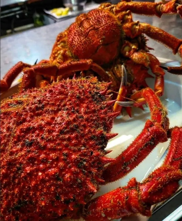Foto des Restaurante El Pulpito in Puerto Tomás Maestre