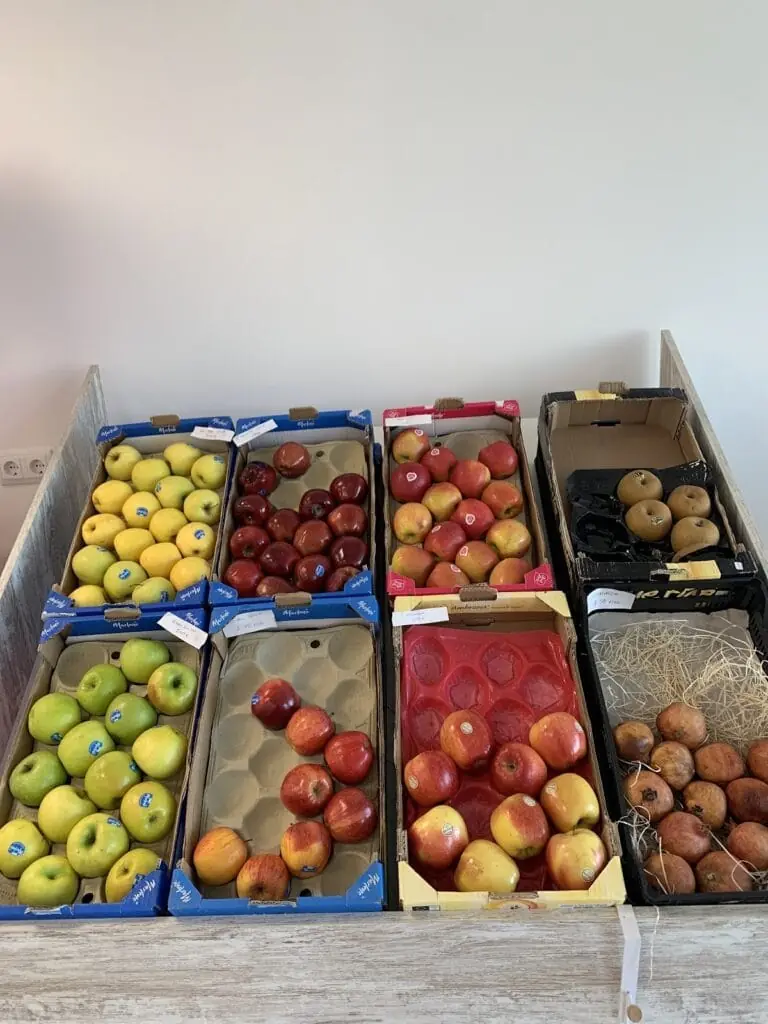 Légumes de saison chez Frutas y Verduras Dos Mares