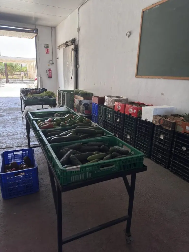 Posten der Frutas y Verduras Rodríguez in Rivera Sur, El Vivero
