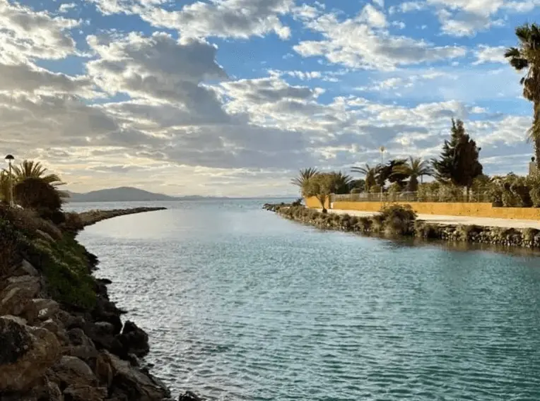 Kanal der Gola de Marchamalo mit Palmen am Ufer