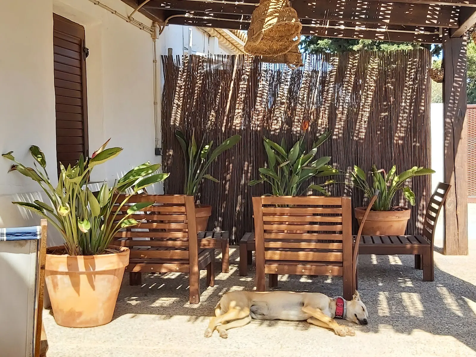 Landhaus Ladera Kalblanke neben dem Parque Natural de Calblanque