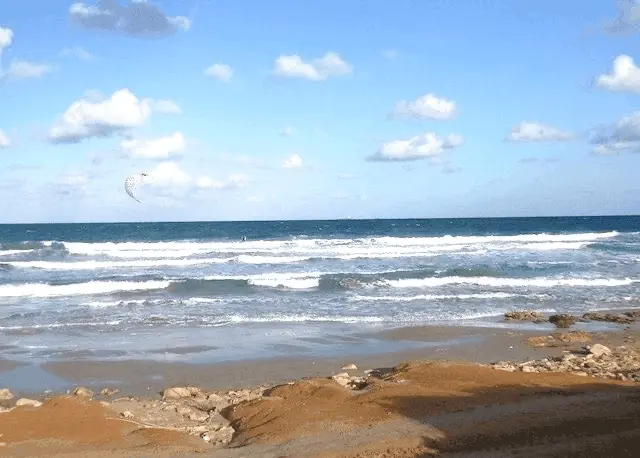 Beach with waves and a kitesurfer at Las Amoladeras