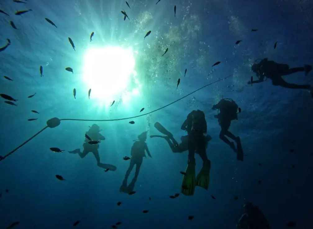Mangamar Dive Center diving equipment in Cabo de Palos harbour