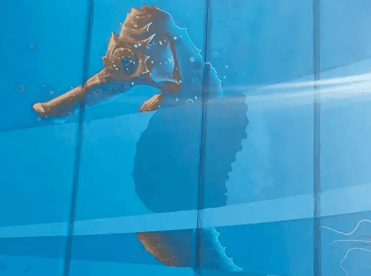 Seahorse painted on the Mural de Monteblanco