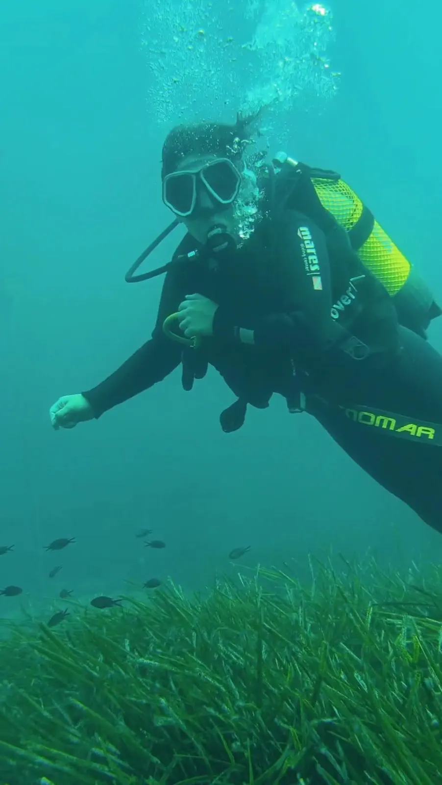 Kleine Gruppe von Teilnehmern bei einem PADI-Kurs von Pagaza Diving