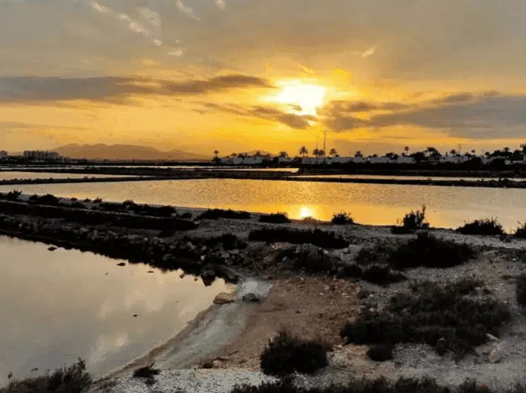Becken der Salinas de Marchamalo bei Sonnenuntergang