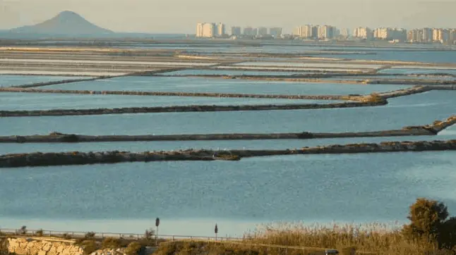 Wasserbecken der Salinas de Marchamalo, im Süden von La Manga
