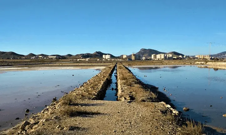 Weg zwischen den Becken der Salinas de Marchamalo