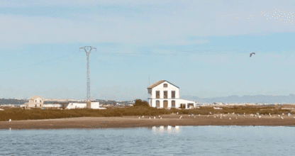 Ecosistema Salinero (Final de la Manga. Encañizadas), lugar de interés en La Manga del Mar Menor
