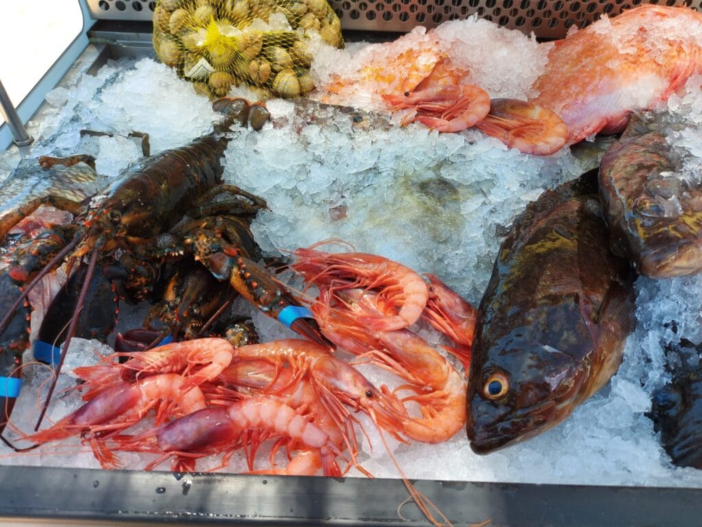 Al Lio Cala Reona — Chiringuitos en Otros