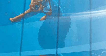 Mural de Monteblanco, lugar de interés en La Manga del Mar Menor