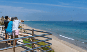 Mirador de Monteblanco (II, vista 360º)