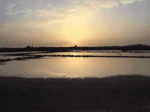 Salinas de Marchamalo