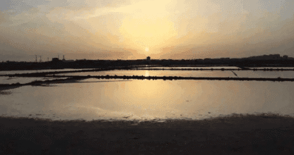 Salinas de Marchamalo, lugar de interés en La Manga del Mar Menor