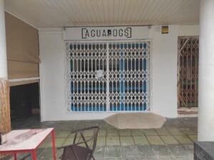 AguaDogs