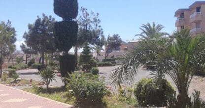 Zona ajardinada exterior de Cabo de Palos Rooms con palmeras, cipreses podados y edificio residencial al fondo