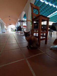 Cafetería Confitería La Deliciosa