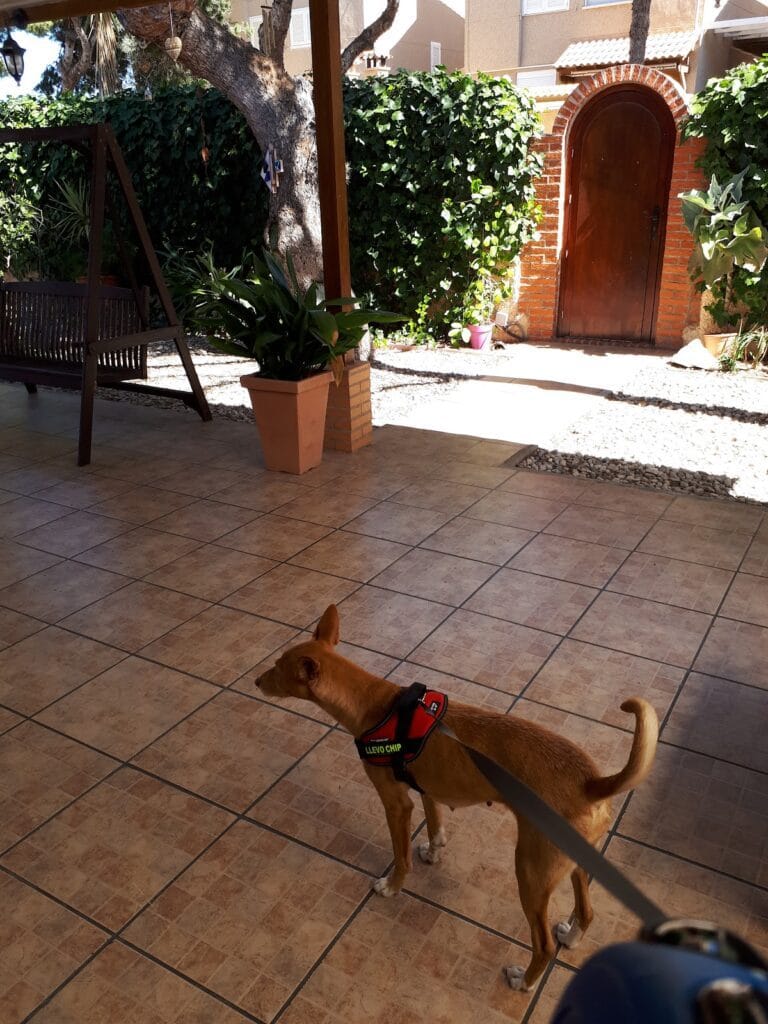 Clínica Veterinaria Cabopalos — Salud & Belleza en Cabo de Palos