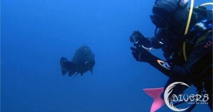 Divers Cabo de Palos - Escuela de buceo en La Manga del Mar Menor