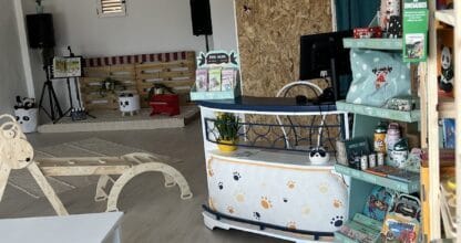 Interior de El Circo de Hugo con mostrador decorado, estantería de juguetes y libros y zona de juego infantil