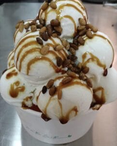 Fábrica de Helado Artesano Verdú