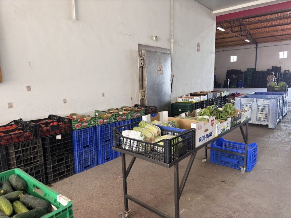 Interior de almacén de Frutas y Verduras Rodríguez con cajas de tomates, pepinos, lechugas y otras verduras frescas