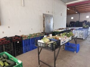 Frutas y Verduras Rodríguez