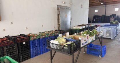 Interior de almacén de Frutas y Verduras Rodríguez con cajas de tomates, pepinos, lechugas y otras verduras frescas