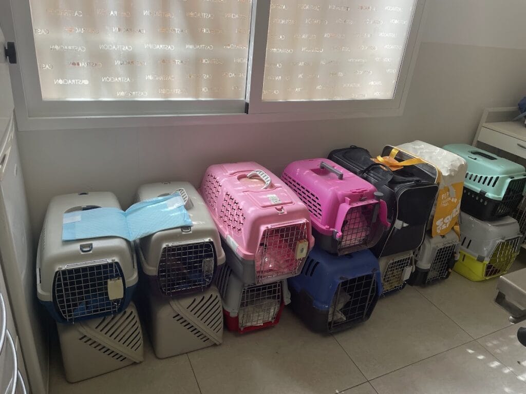 Granavet Cartagena, Clínica Veterinaria especializada en castraciónes — Salud & Belleza en La Manga Club