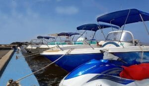 Happy Boat