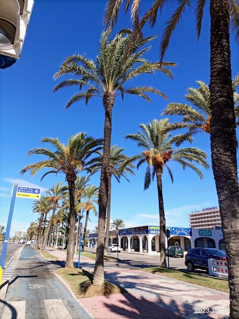 Inmobiliaria Los Arcos – La Manga — Servicios en Cabo de Palos