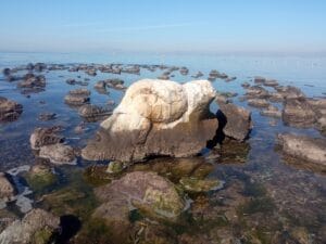 La Piedra del Fauno