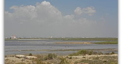 Las Encañizadas del Mar Menor, paso natural entre el Mar Menor y el Mediterráneo