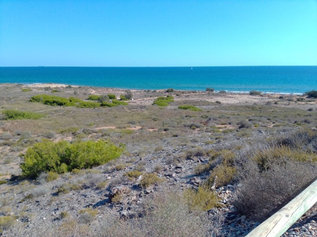 Panorámica desde el Mirador de Playa Larga con vegetación costera y el Mar Mediterráneo al fondo, La Manga del Mar Menor