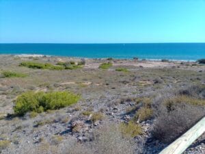 Mirador de Playa Larga