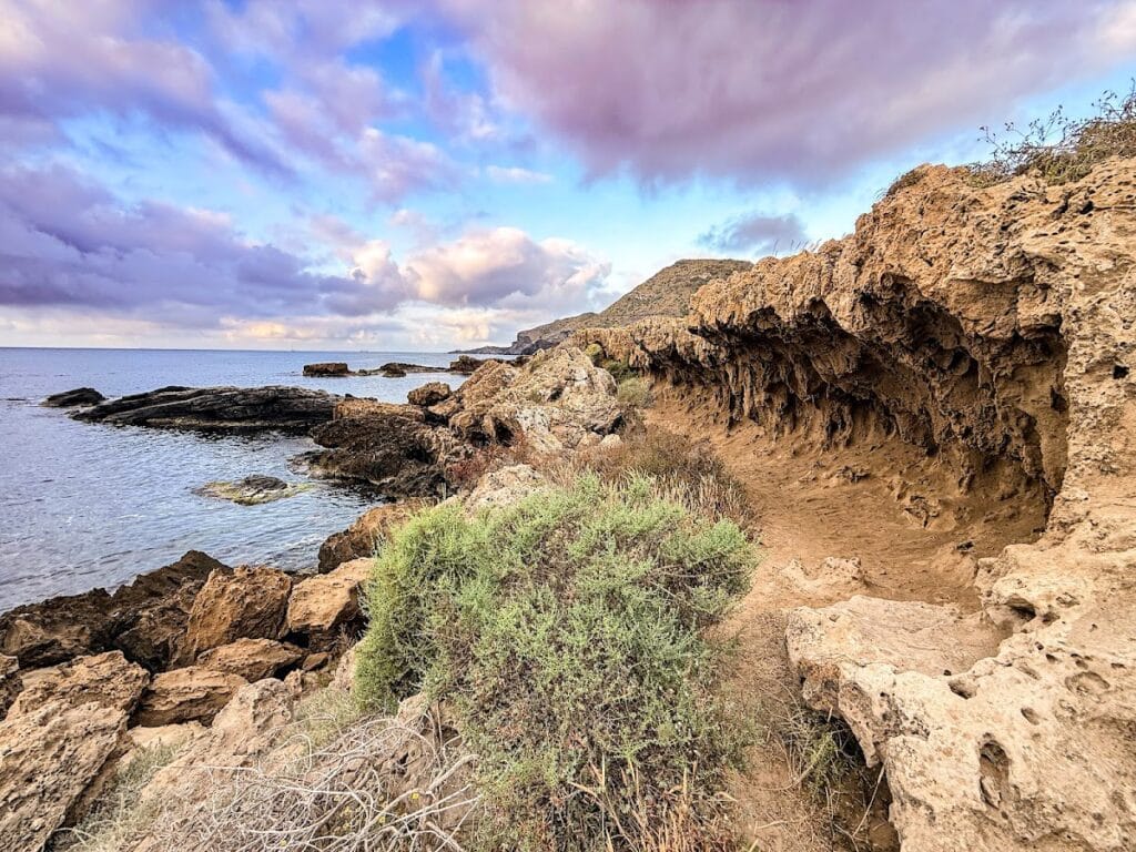 Costa rocosa con vegetación mediterránea y mar al fondo en el Mirador Puerto Cabo de Palos